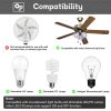 80R Ceiling Fan Remote for 99813
